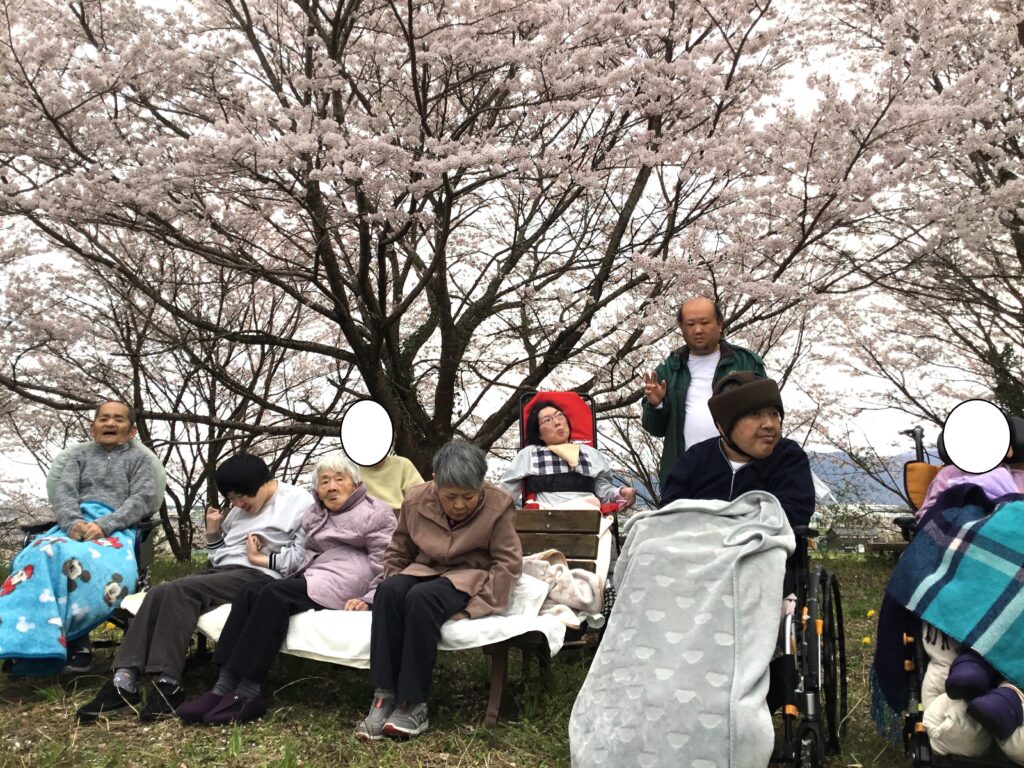 お花見ドライブに行きました